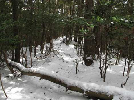 20140211hike (43)